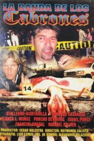 Violencia en las calles 2004 one on netflix