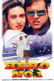 Hero No. 1 1997 one on netflix