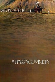 A Passage to India 1984 one on netflix