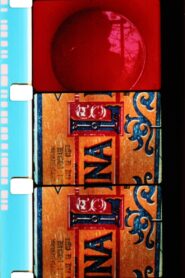 Mesures de miel et de lait sauvage 1984 one on netflix