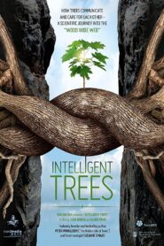 Intelligent Trees 2017 one on netflix