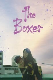The Boxer 2022 one on netflix