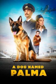 A Dog Named Palma 2021 one on netflix