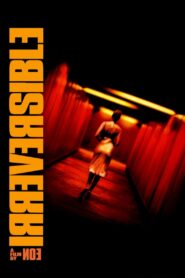Irreversible 2002 one on netflix