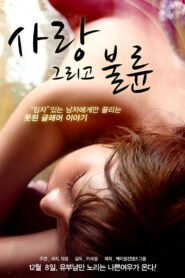 Love and Affair 2011 one on netflix