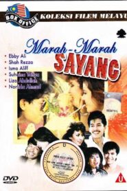 Marah-marah Sayang 1987 one on netflix