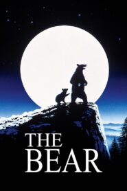 The Bear 1988 one on netflix