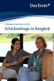 Schicksalstage in Bangkok 2009 one on netflix