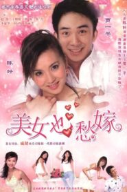 美女也愁嫁 2006 one on netflix