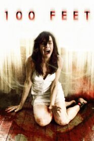 100 Feet 2008 one on netflix