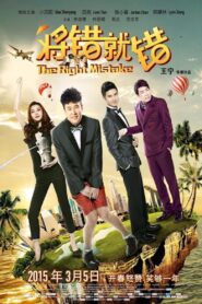 The Right Mistake 2015 one on netflix