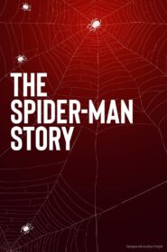 The Spider-Man Story 2002 one on netflix
