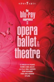 The Blu-ray Experience II: Opera, Ballet & theatre 2010 one on netflix