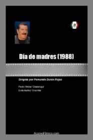 Dia de Madres 1988 one on netflix