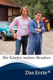 Die Kinder meines Bruders 2015 one on netflix