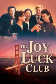 The Joy Luck Club 1993 one on netflix