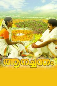 Aanachandam 2006 one on netflix