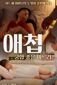 Concubine: Daughter-in-law With Good Compatibility 2023 one on netflix