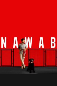 Nawab 2020 one on netflix