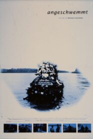 Washed Ashore 1994 one on netflix
