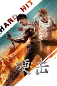 Hard Hit 2020 one on netflix