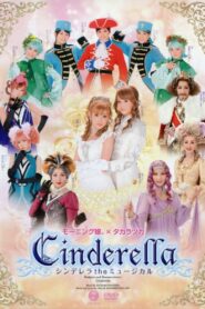 Cinderella the Musical 2008 one on netflix