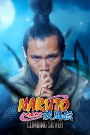 Naruto: Climbing Silver 2021 one on netflix