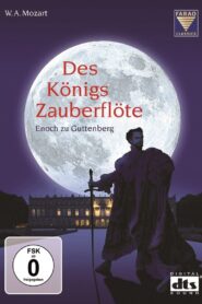 Des Königs Zauberflöte 2016 one on netflix