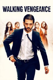 Walking Vengeance 2008 one on netflix