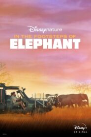 In the Footsteps of Elephant 2020 one on netflix