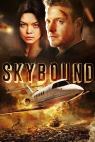 Skybound 2017 one on netflix
