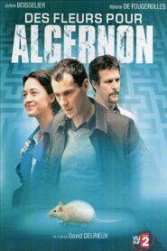 Des fleurs pour Algernon 2006 one on netflix