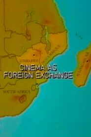 Cinema as Foreign Exchange 1984 one on netflix