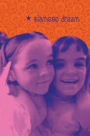 Smashing Pumpkins – Live at the Metro 1993 2011 one on netflix