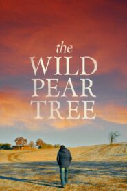 The Wild Pear Tree 2018 one on netflix