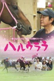 Haru Urara 2005 one on netflix