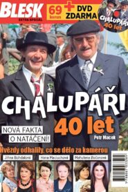 40 let s Chalupáři 2015 one on netflix