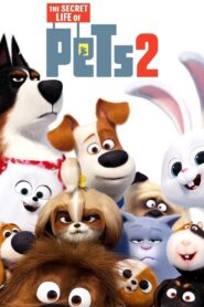 The Secret Life of Pets 2 2019 one on netflix