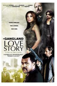 A Gangland Love Story 2010 one on netflix