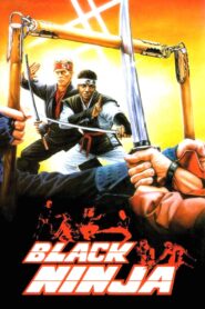 Ninja: Silent Assassin 1987 one on netflix