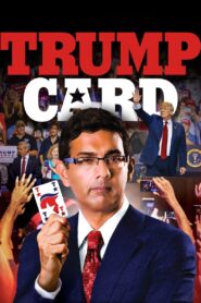 Trump Card 2020 one on netflix