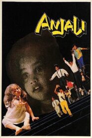 Anjali 1990 one on netflix