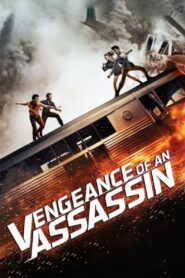Vengeance of an Assassin 2014 one on netflix