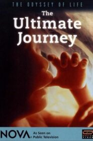 Odyssey of Life 1996 one on netflix