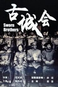Sworn Brothers 2013 one on netflix