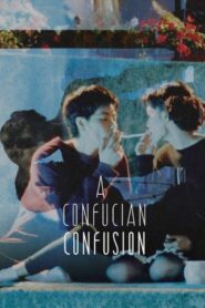 A Confucian Confusion 1994 one on netflix