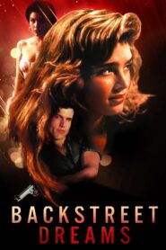 Backstreet Dreams 1990 one on netflix