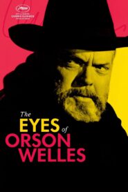 The Eyes of Orson Welles 2018 one on netflix