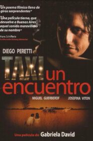 Taxi, An Encounter 2001 one on netflix