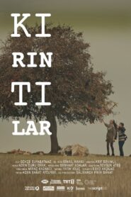 Kırıntılar 2016 one on netflix